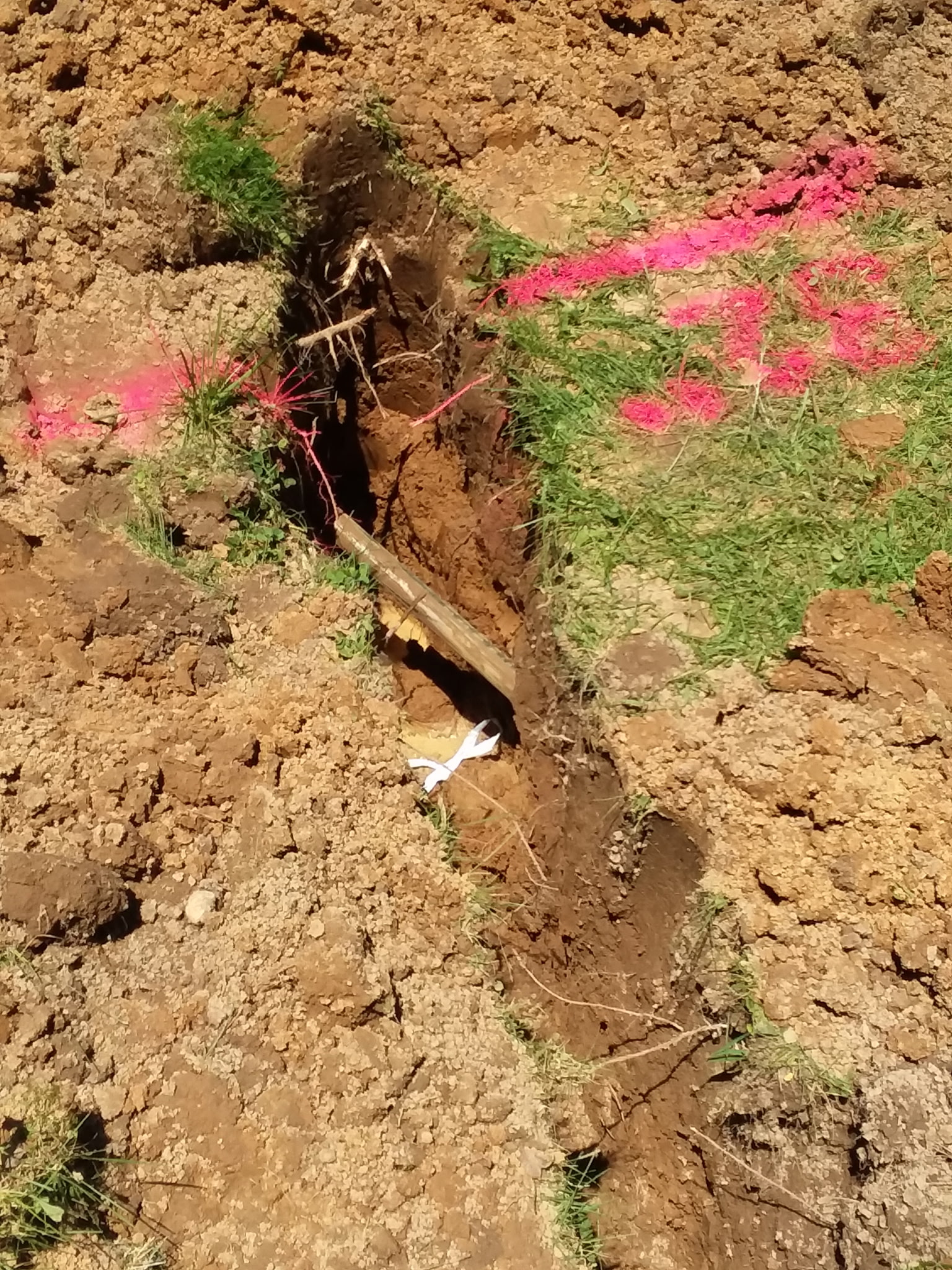 Bore pit detail